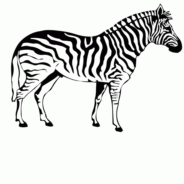 Plansa de colorat cu Zebra 17 9